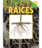 Rourke Educational Media Ra�ces (Roots), Guided Reading Level N Reader (Un Acercamiento a Las Plantas) (Spanish Edition)