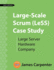 Large-Scale Scrum (LeSS) Case Study: Large Server Hardware Company