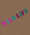 Wild Life: Elizabeth Murray & Jessi Reaves