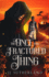 The Once and Fractured Thing