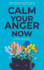 Calm Your Anger Now