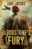 Bloodstones Fury: a Novel of Ww2