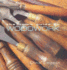 The Home Guide to Woodwork