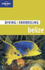 Belize 4, D & S (Lonely Planet Diving and Snorkeling Guides)