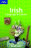 Irish Language and Culture: How's the Craic? (Lonely Planet Language Reference)