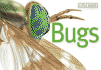 Bugs (Little Guides)