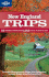 Lonely Planet New England Trips (Lonely Planet Regional Guide)