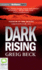 Dark Rising (Alex Hunter, 2)