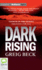 Dark Rising (Alex Hunter)
