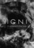 Igni: a Restaurant's First Year