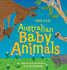 Australian Baby Animals [Board Book]