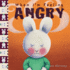 When I'M Feeling Angry