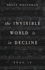 The Invisible World is in Decline Book IX Format: Paperback