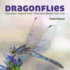 Dragonflies: Hunting-Identifying-How and Where They Live