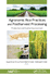 Agronomic Rice Practices and Postharvest Processing: Production and Quality Improvement