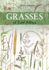 Grasses of East Africa