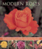 Modern Roses: an Illustrated Guide to Varieties, Cultivation and Care, With Step-By-Step Instructions and Over 150 Beautiful Photographs