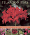 Pelargoniums: an Illustrated Guide to Varieties, Cultivation and Care, With Step-By-Step Instructions and Over 170 Beautiful Photographs