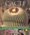 Cacti: an Illustrated Guide to Varieties, Cultivation and Care, With Step-By-Step Instructions and Over 160 Magnificent Photographs