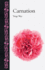 Carnation (Botanical)