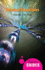 Reductionism: a Beginner�S Guide