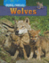 Wolves (Animal Families)