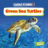 Green Sea Turtles (Fast Track: Animals in Danger)