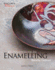 Beginner's Guide to Enamelling: (Re-Issue) (Search Press Classics)