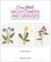 Cross Stitch Wildflowers and Grasses: 32 Beautiful Botanical Motifs to Hand Stitch