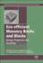 Eco-Efficient Masonry Bricks and Blocks, 1st Edition