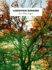 Ludovico Einaudi in a Time Lapse| Piano Solo Sheet Music Book | Modern Classical Piano Collection for Students and Fans| Expressive Solo Repertoire for Practice Performance Learning and Creative Study