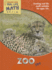 Zoo Vet (Real Life Math-Orange Level)