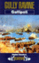 Gully Ravine: Gallipoli (Battleground Europe)