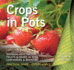 Crops in Pots: Practical Guide, Expert Advice (Digging and Planting)