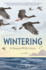 Wintering: a Season With Geese