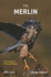 The Merlin: The Ecology of a Magical Raptor