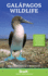 Galapagos Wildlife 4ed Format: Paperback