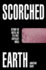 Scorched Earth: Beyond the Digital Age to a Post-Capitalist World