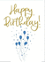 Happy Birthday (You Poor Old Wreck) (the Kings Kids Say)