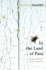 In the Land of Pain (Vintage Classics)