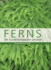 Fernsforacooltemperateclimate Format: Clothoverboards