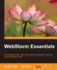 Webstorm Essentials: Build Efficient Html, Css and Javascript Applications Using the Powerful Webstorm Ide