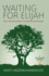 Waiting for Elijah: Time and Encounter in a Bosnian Landscape (Articulating Journeys: Festivals, Memorials, and Homecomings, 1)