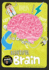 Beautiful Brain (Journey Through the Human Body)