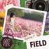Exploring a Field (Geo-Kids)