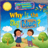 Why is the Sky Blue? (Little Scientists Big Questions)
