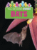 Bats Format: Paperback