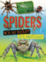 Spiders Format: Library Bound