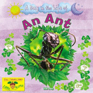 An Ant