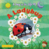 A Ladybug Format: Paperback